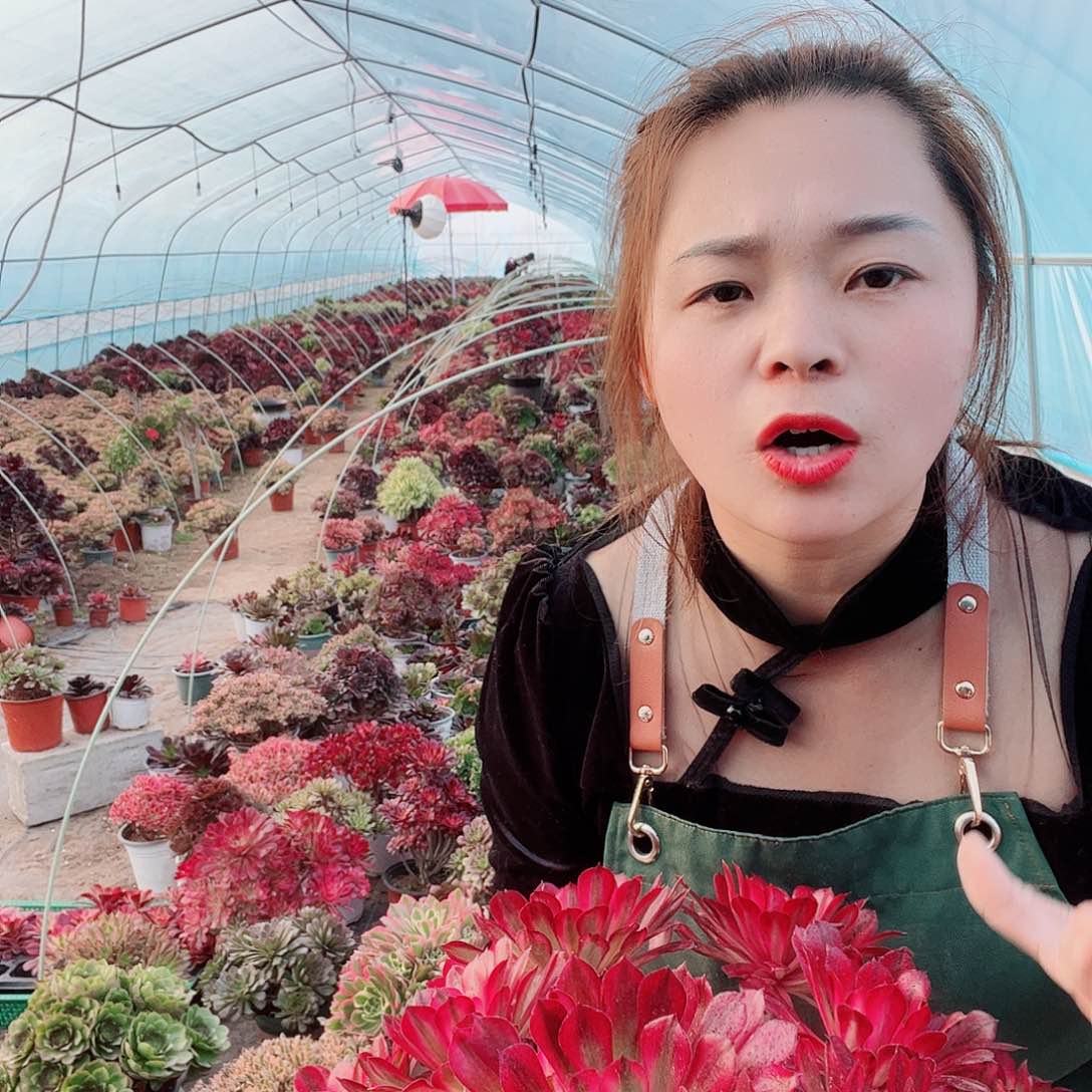 Hinhhhj Hogg38yk your 