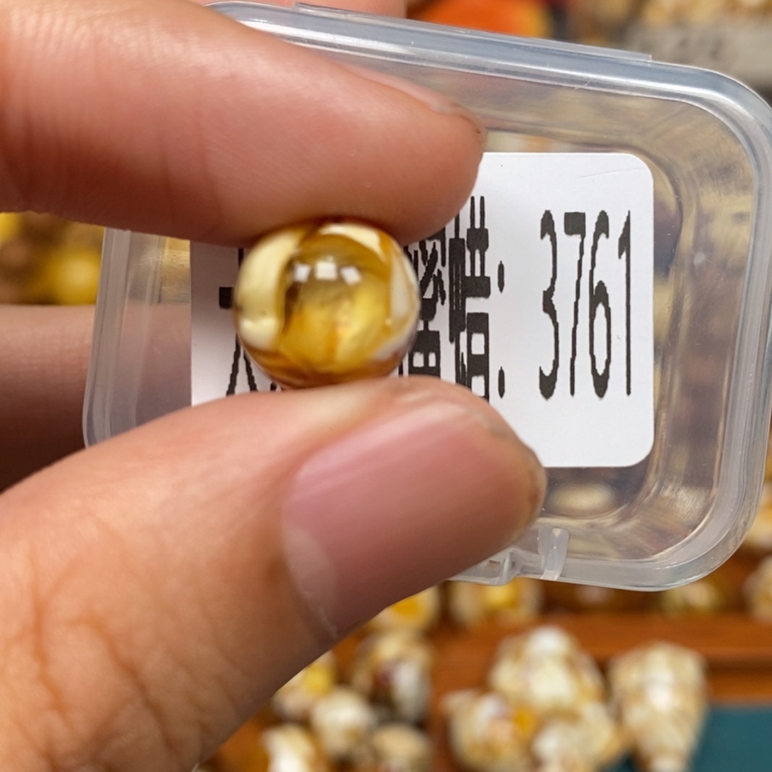 蜜蜡未镶嵌珠宝奇石3761