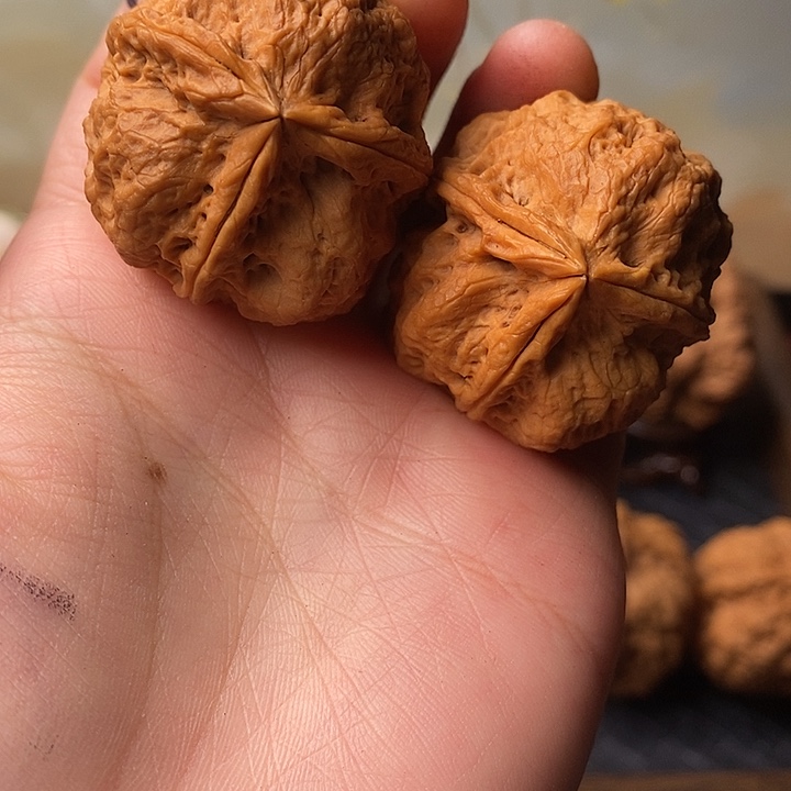 吊坠文玩核桃铁核桃27