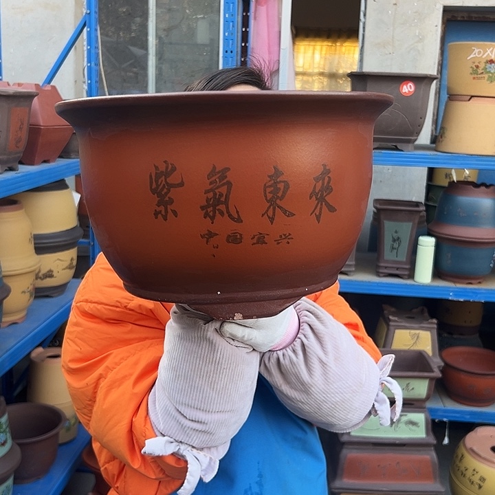 30紫气东来花盆花盆花盆