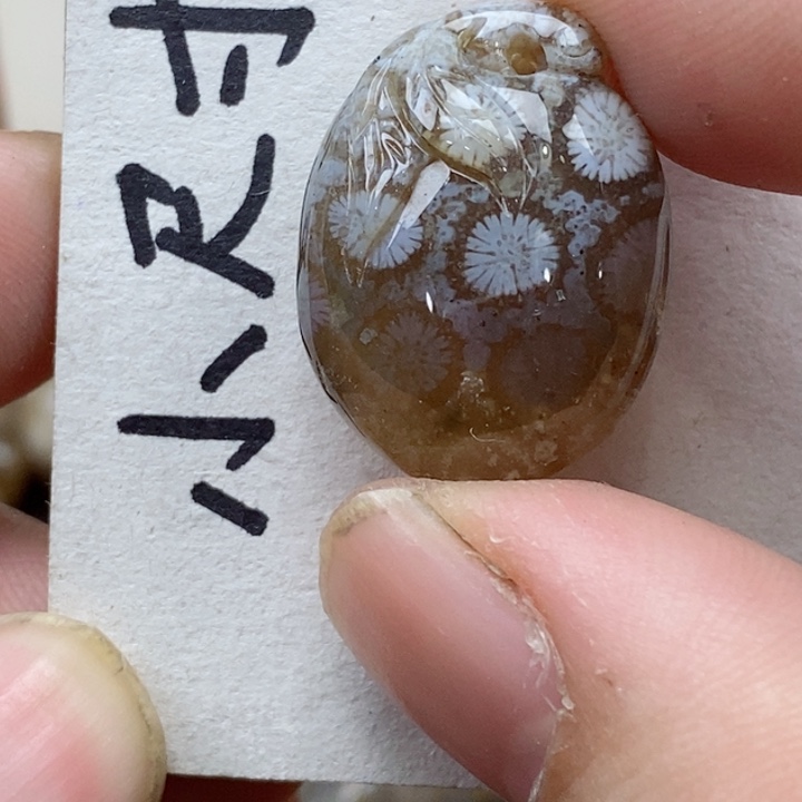 颈饰未镶嵌硅化珊瑚（珊瑚玉）