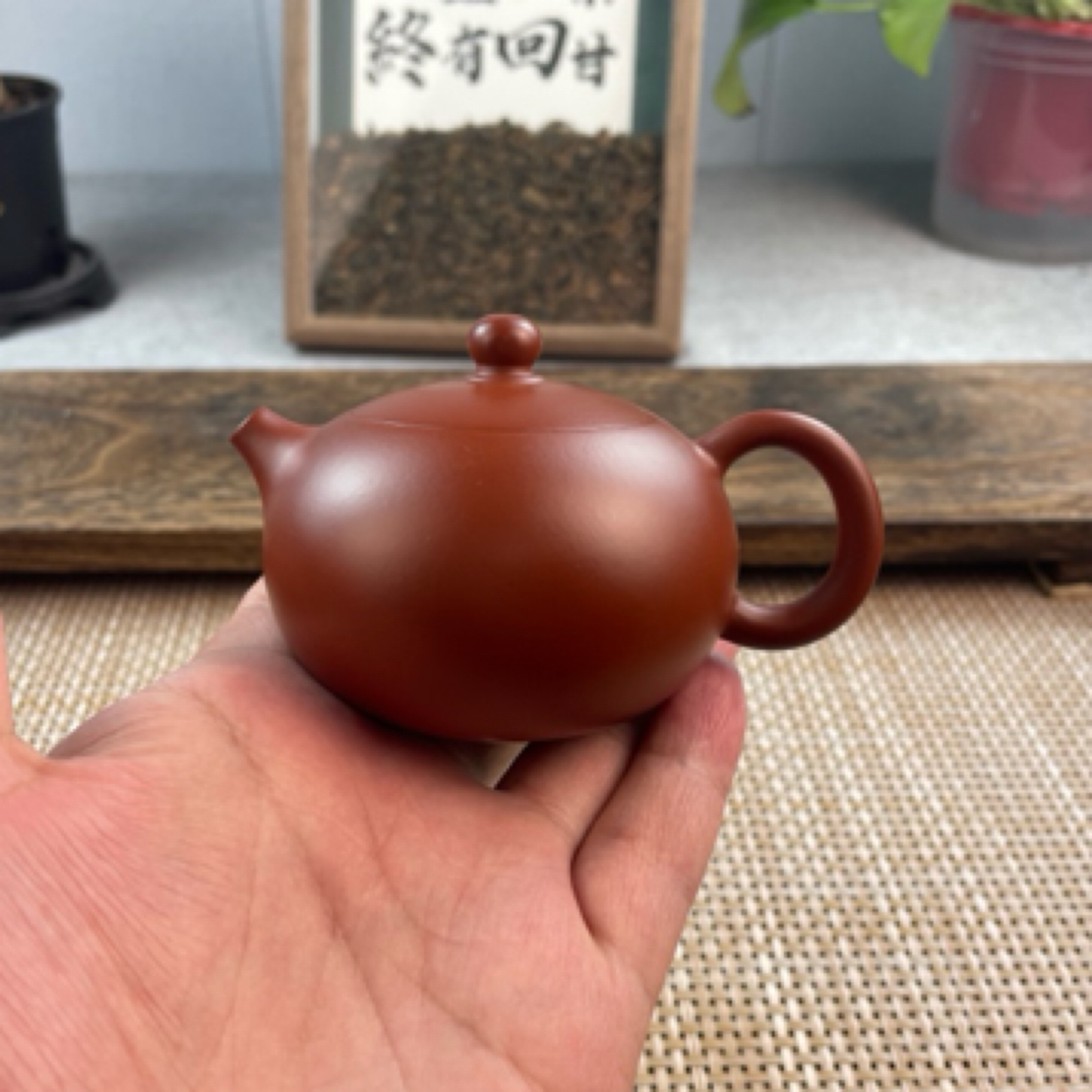 宜兴原矿紫砂小容量朱泥西施红泥小容量手制