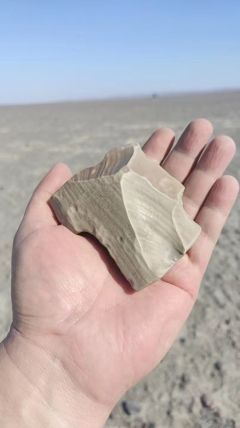 新疆戈壁石盆景石随机发货直播链接