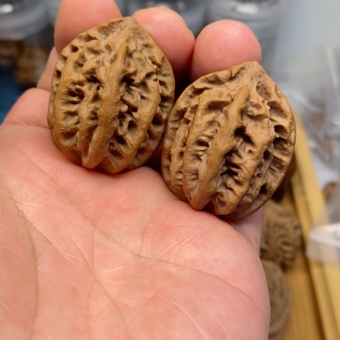 桃核把件44东北野生秋子