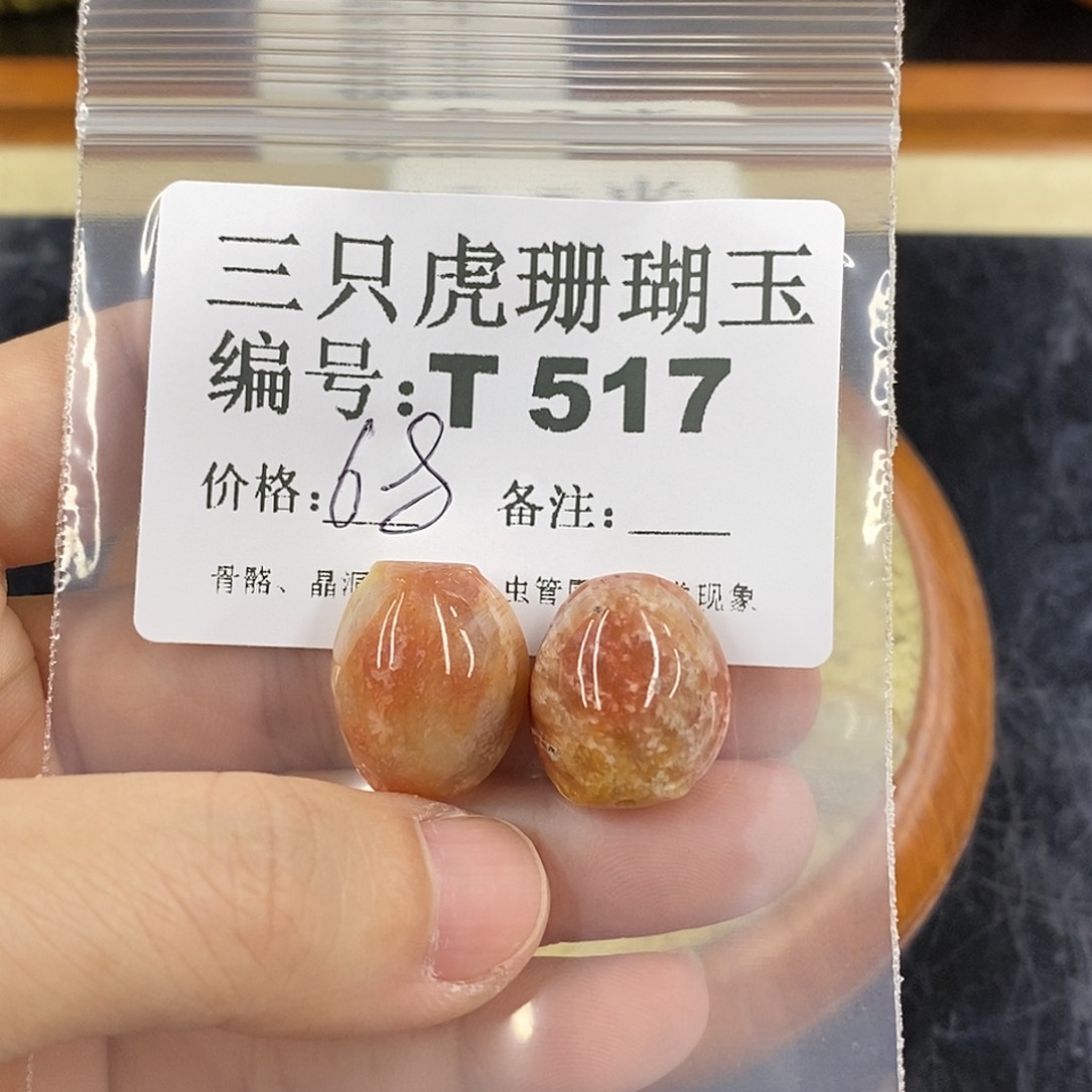 硅化珊瑚（珊瑚玉）1未镶嵌o****o