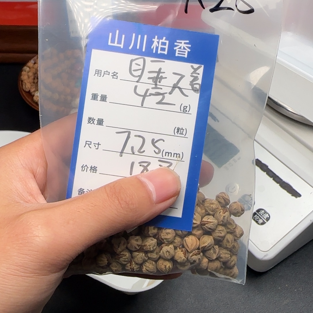 睡***着吊坠柏香籽/百香籽