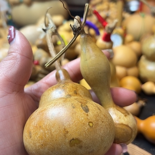 心**媚葫芦葫芦葫芦葫芦