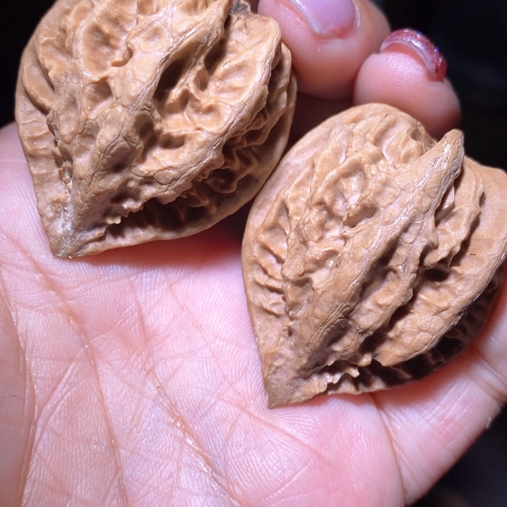 文玩核桃把件东北野生楸子小美40