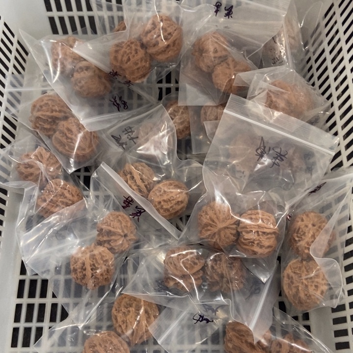 吊坠文玩核桃苹果园微瑕