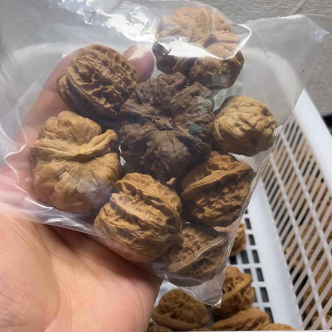 H***葵文玩核桃吊坠不退不换