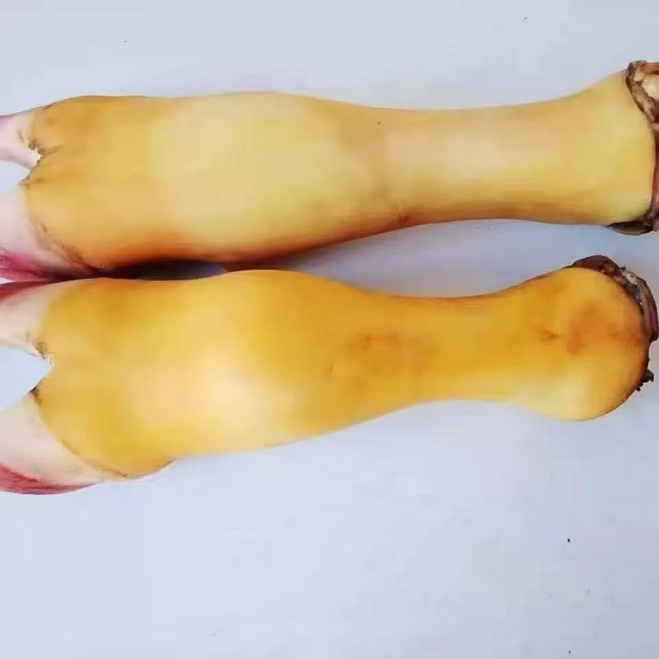 无品牌贵州散养土黄牛 牛脚