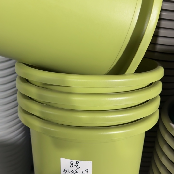 微瑕8号无托果绿7个