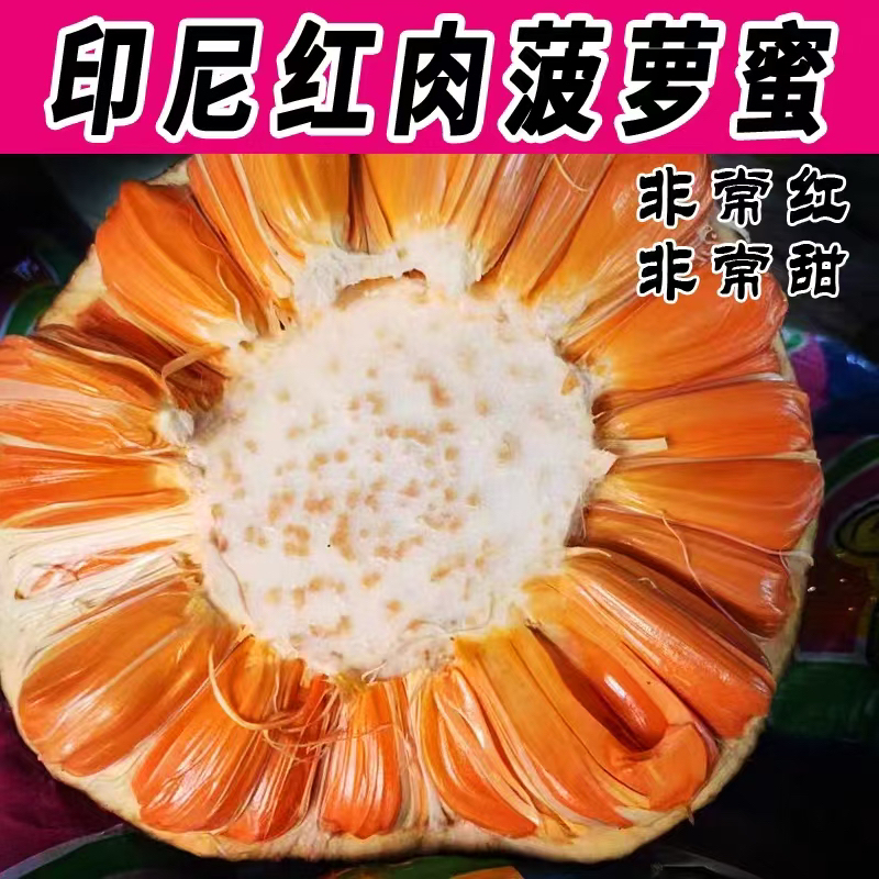 （沈阳发货）印尼红菠萝蜜8--14斤 脆甜可口  京东发货 