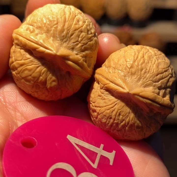 木质类蛇皮龙珠32尺寸