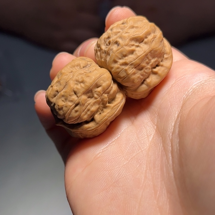 文玩核桃把件蛤蟆187