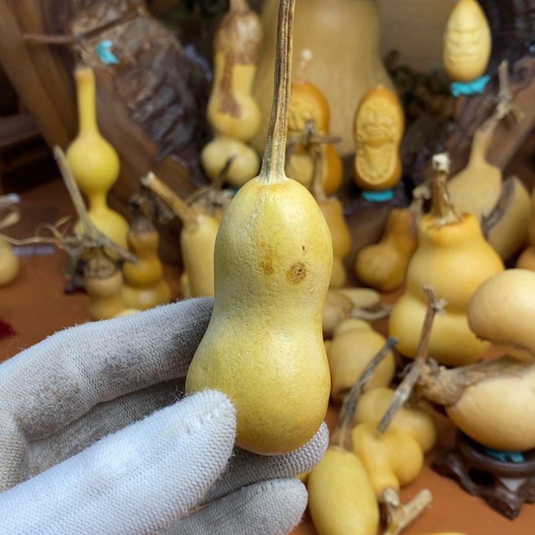 琉***佛教练咯路途教练呀路途