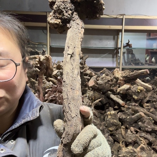 香榧木伤*火琉璃等毛料摆件