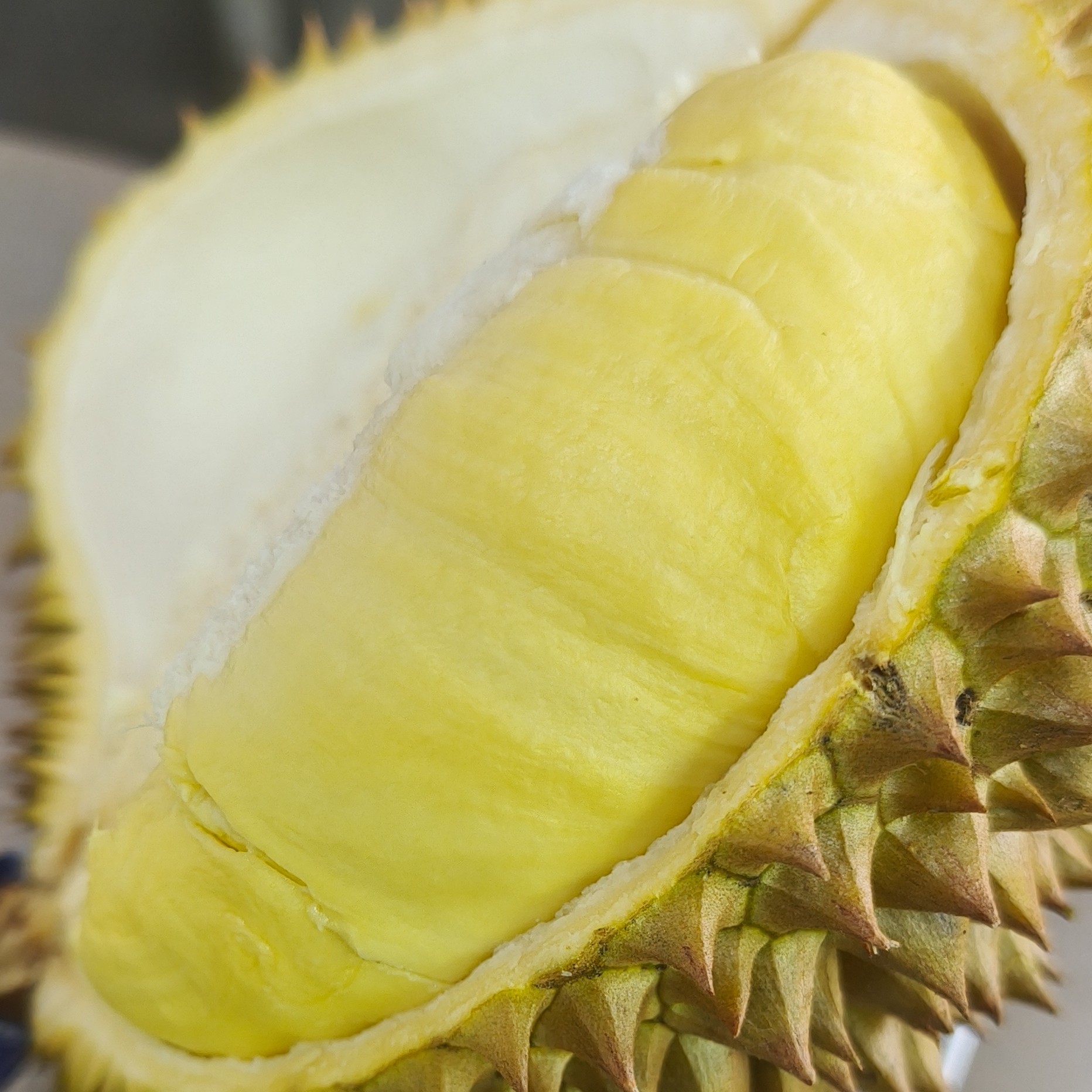 5号金枕鲜榴莲1500-4000g核小泰国金枕水果同城送水果同城送金枕泰国