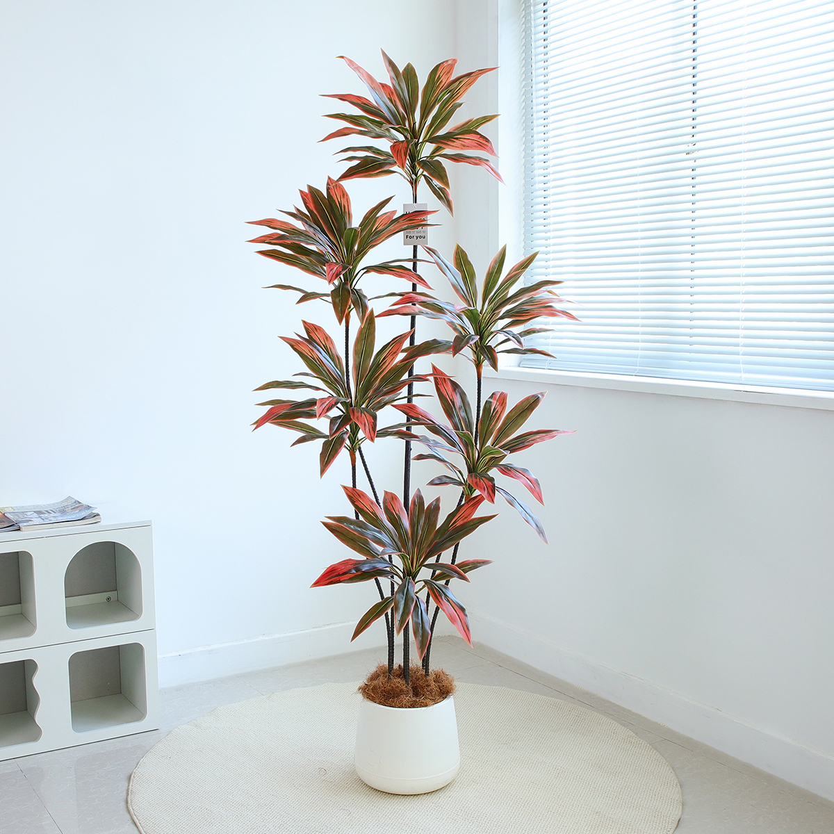 假花仿真绿植朱蕉室内客厅仿生植物假盆栽电视旁大摆件高端装饰