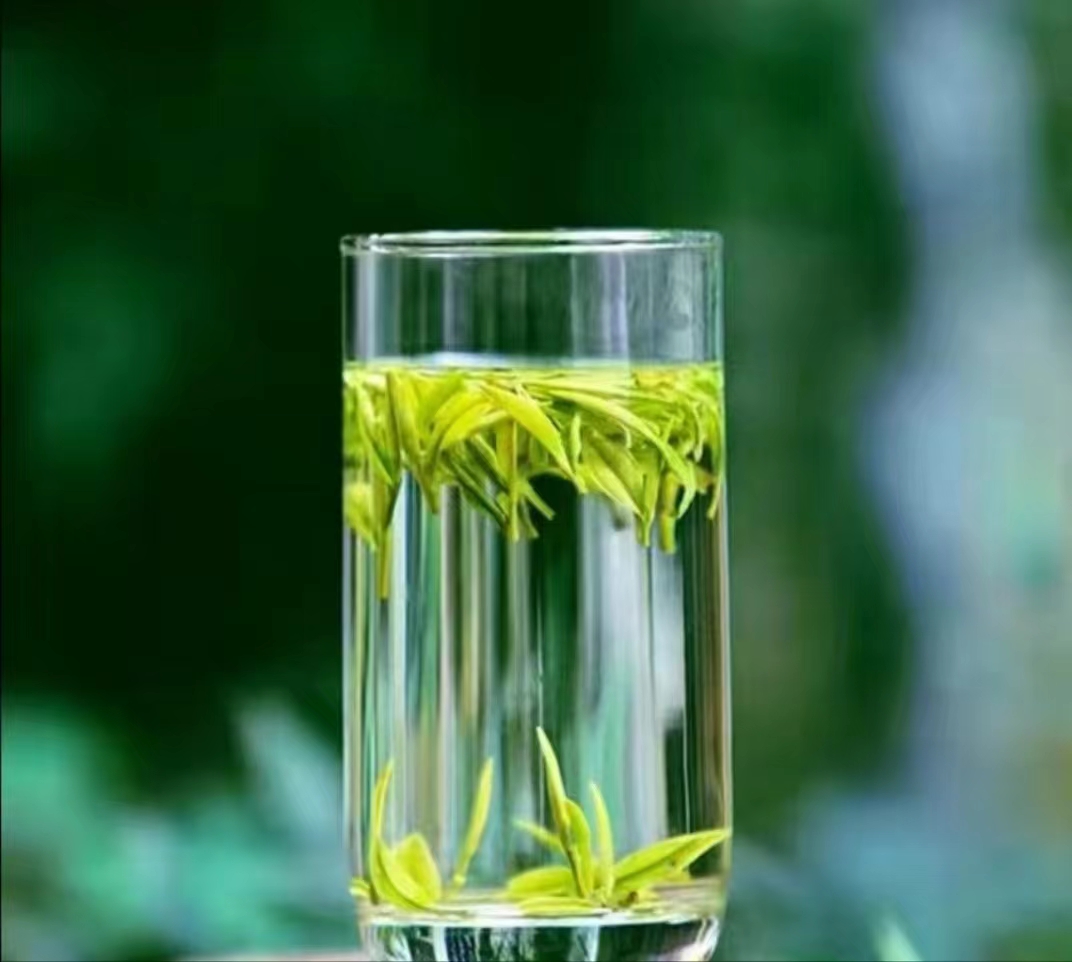 2025新茶【J2金香玉】花果蜜香安吉原产地白茶茶场直销