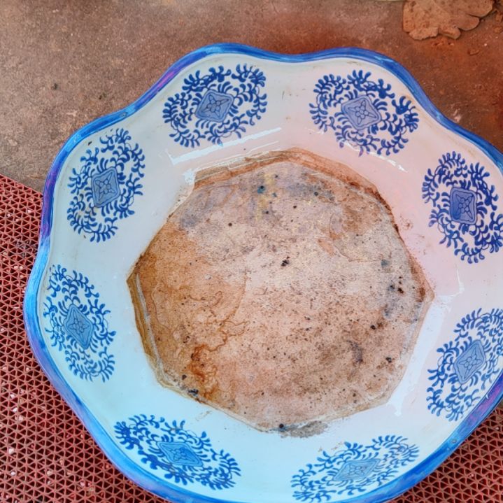 未***2好东西谢谢支持你好