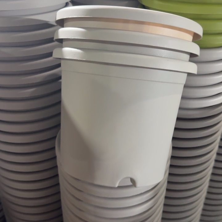 特价3#无托灰白10个