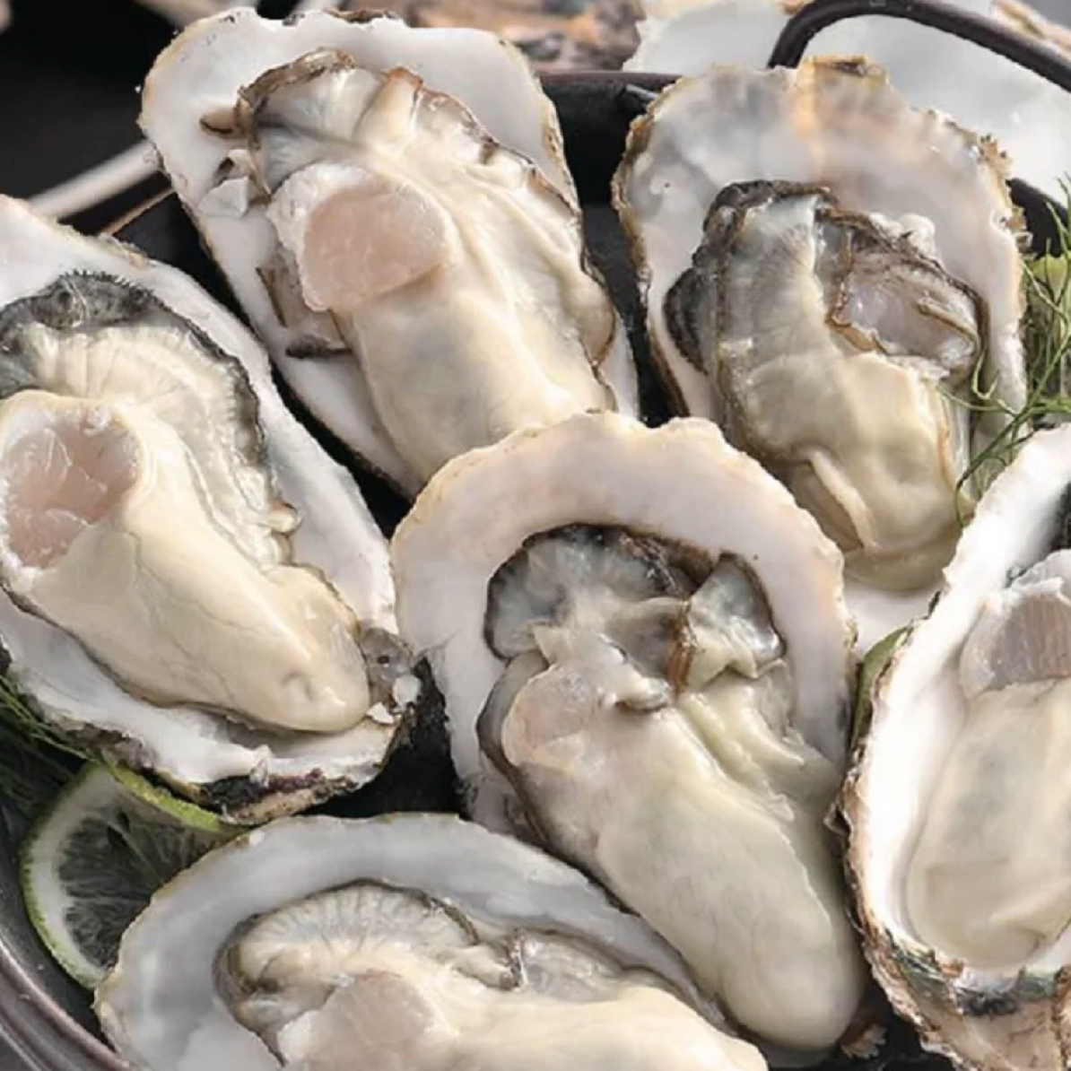 生蚝（15-20个）敦化同城小时达