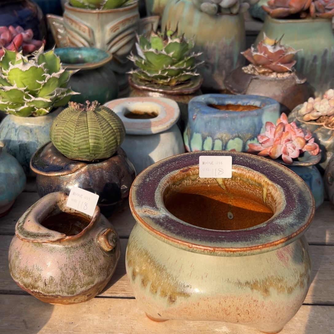 1987新中式多肉花盆15和16