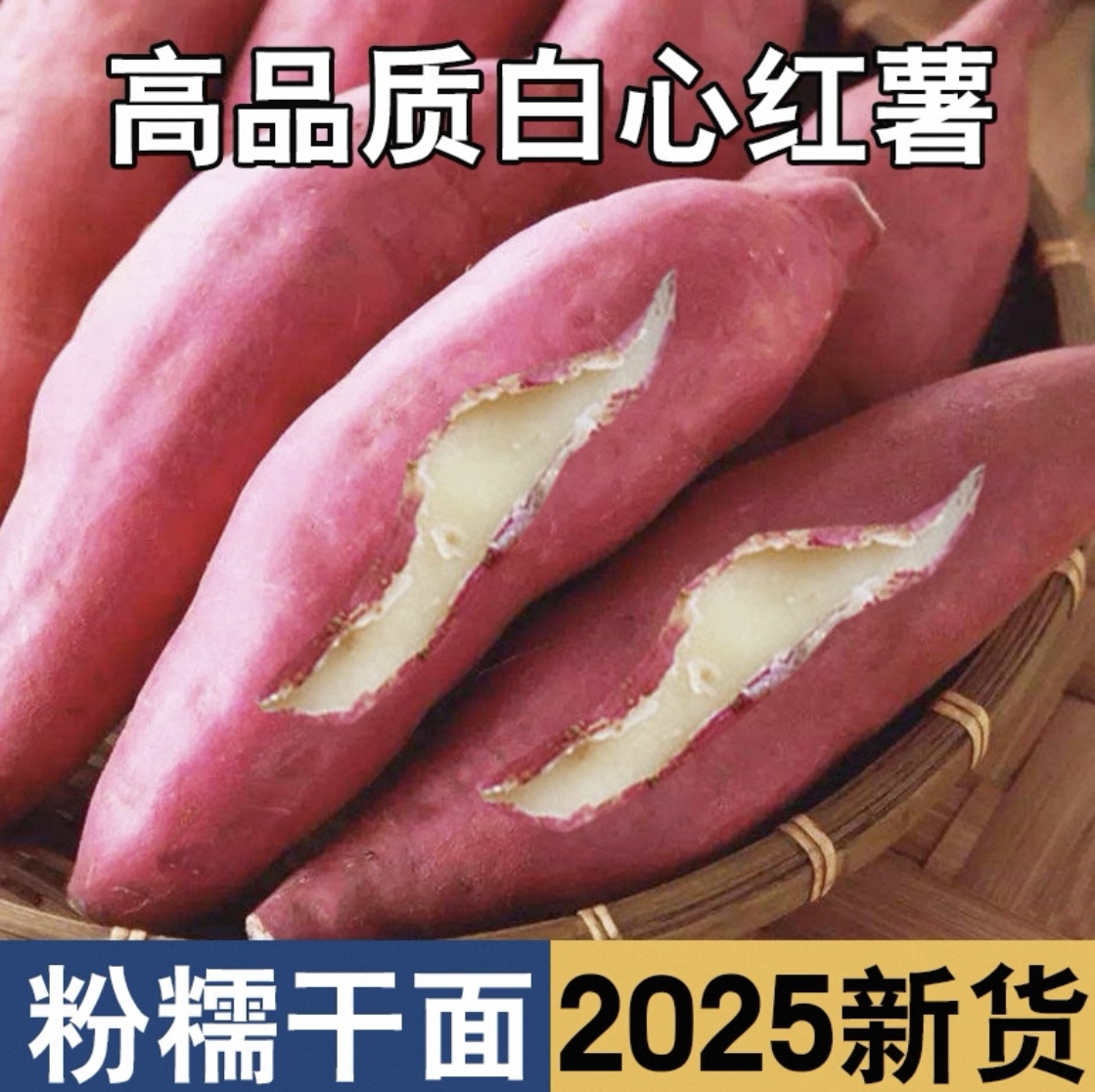 现挖新鲜白红薯粉糯甘甜番薯白心红薯白薯地瓜正宗好果
