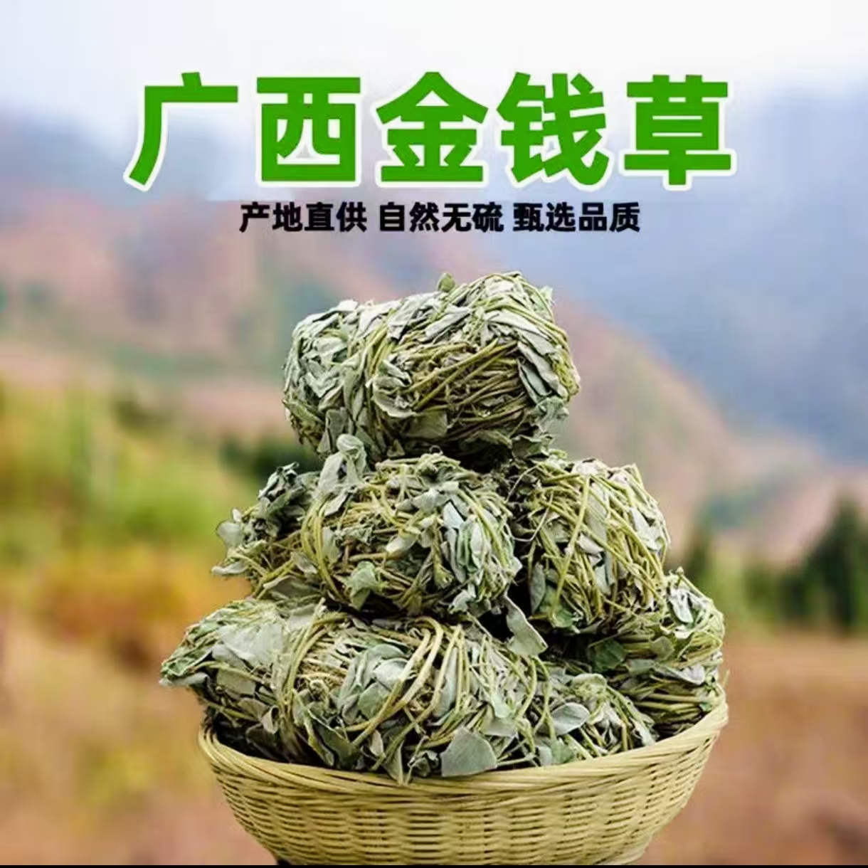 深山土货---金钱草