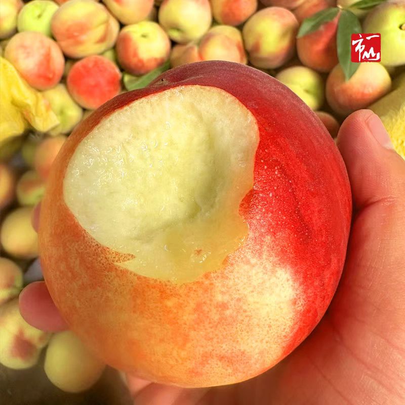 中华脆桃1份（约4斤）江苏省