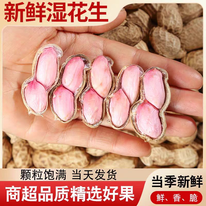现挖现发2025花生新鲜水煮带壳带泥粉皮湿花生