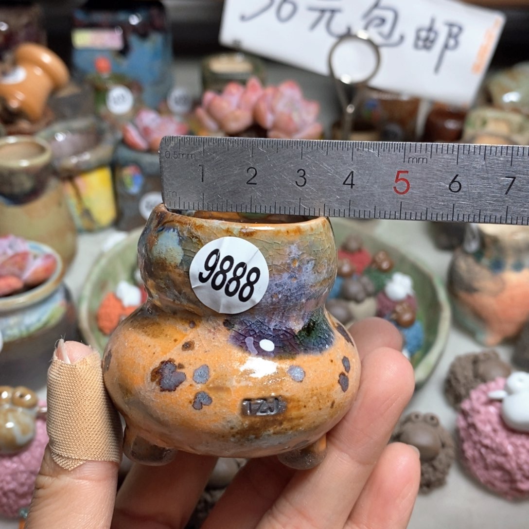 拍5送一个小礼物