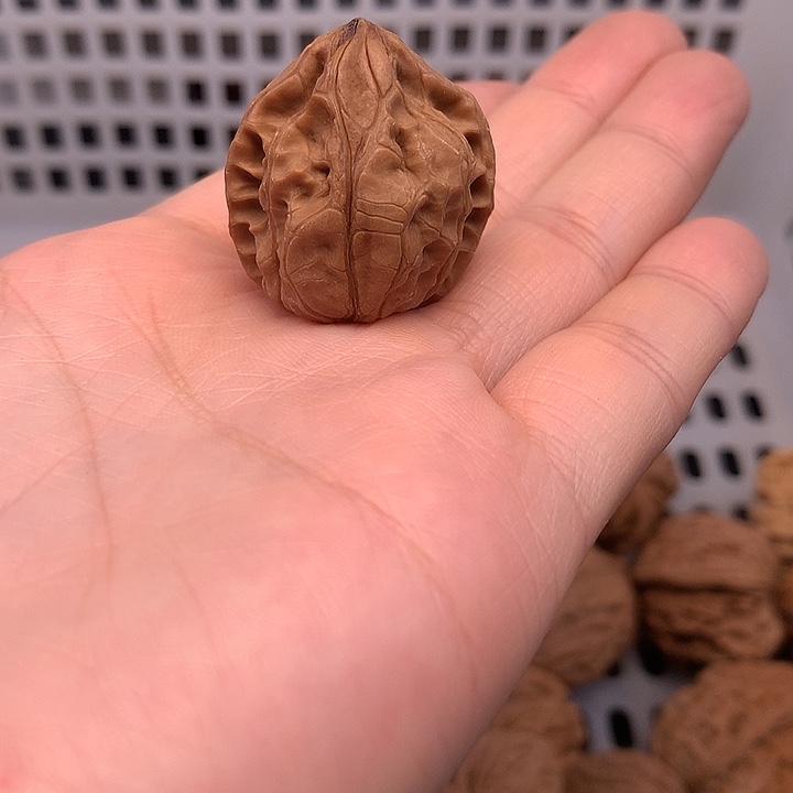 飞***觉文玩核桃吊坠文玩核桃