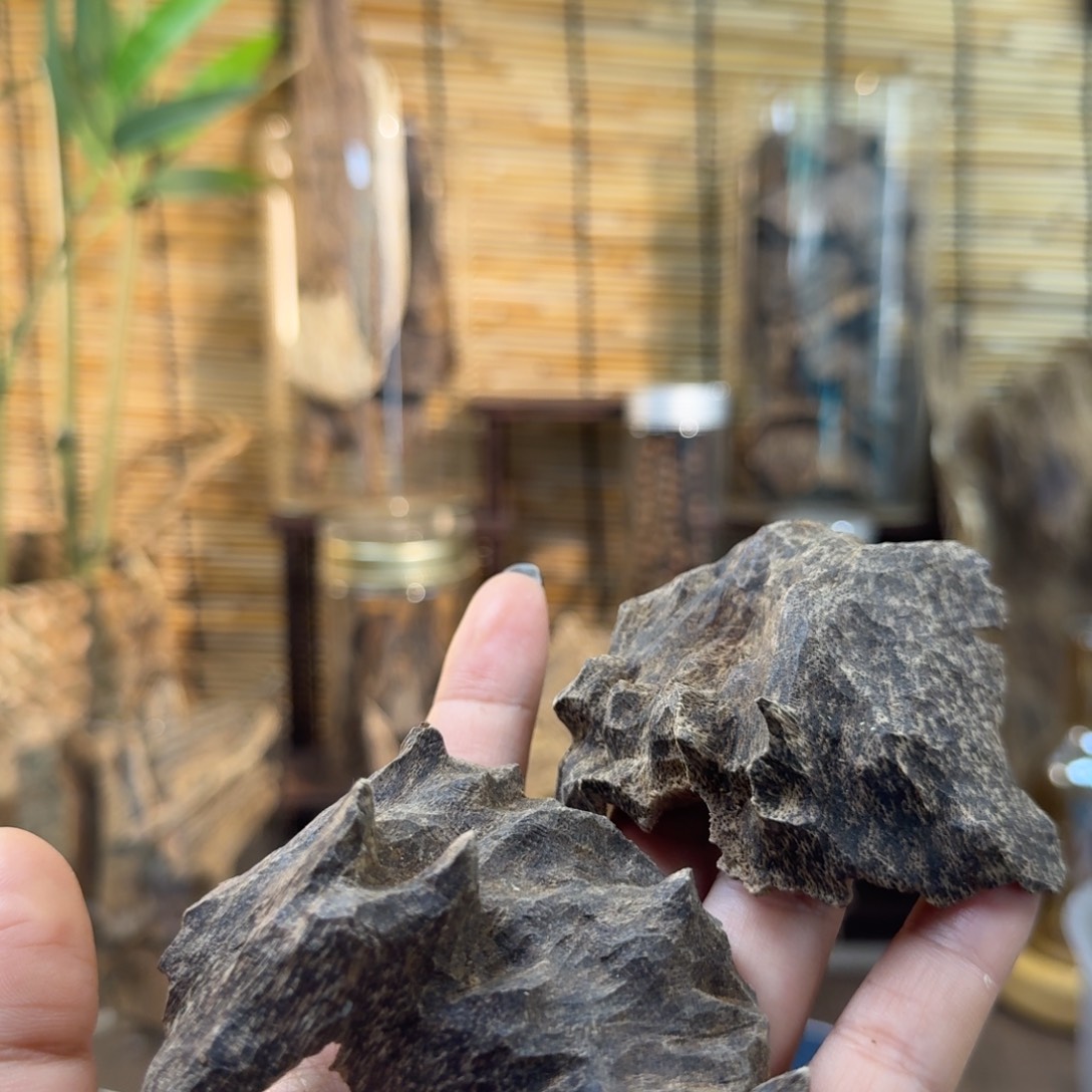 沉香碎屑沉香沉香铁头19g