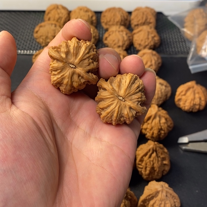 橙***～桃核把件46886557