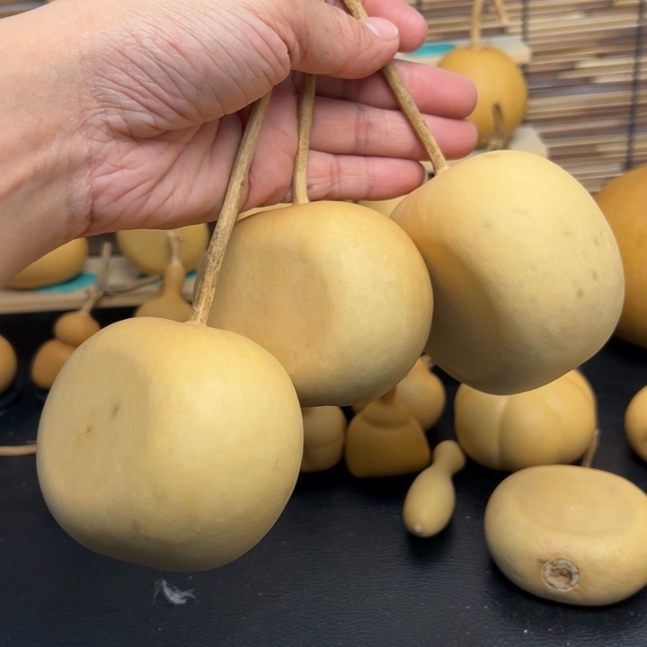 啊**噗葫芦葫芦葫芦葫芦葫芦