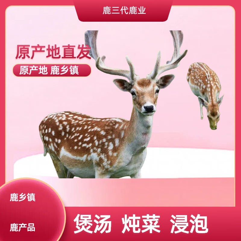 东北原产地鹿乡镇自家鹿厂发货 鹿厂直发