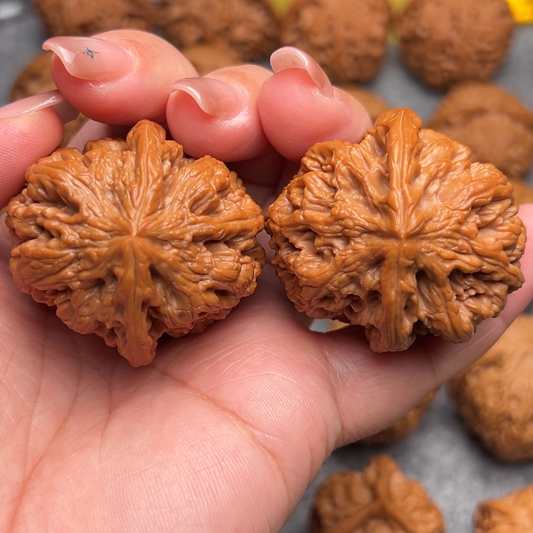 把件文玩核桃41全品毕业粗筋