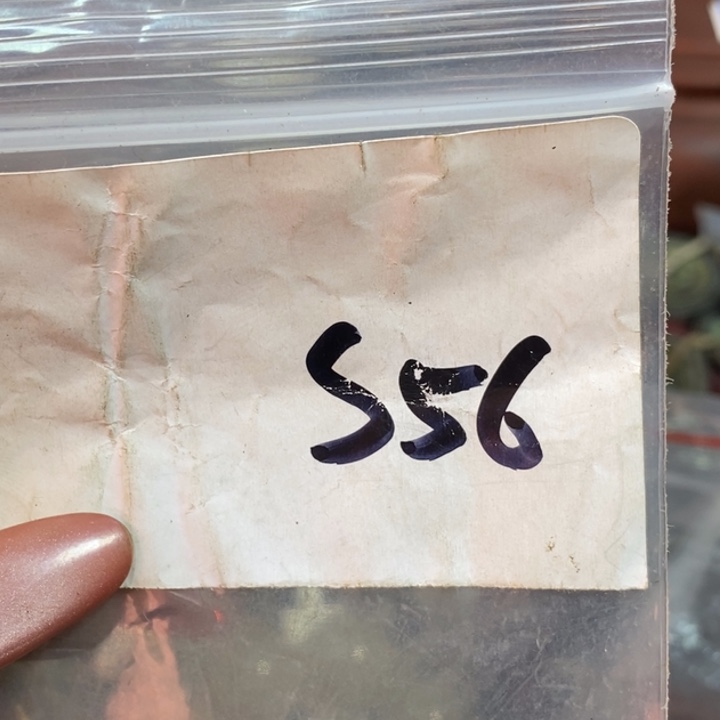 法***师111怡铄直播间家居饰品专属链接