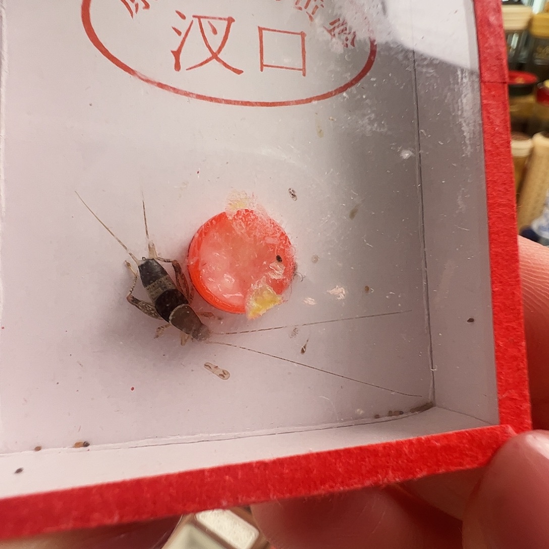 M***哈哈哈哈哈水墨一个