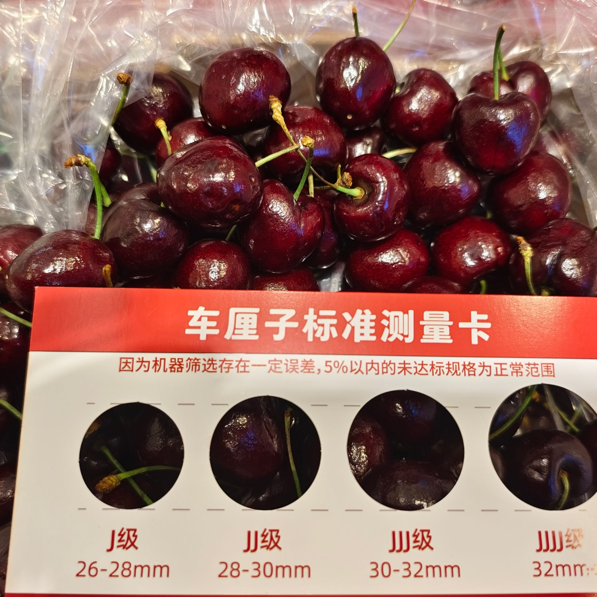 【配送到家】海运智利吉制桑提娜3JD车厘子2500g五斤原装箱桑提娜智利