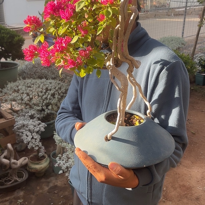 唯***港无花朵哈哈哈哈哈哈哈