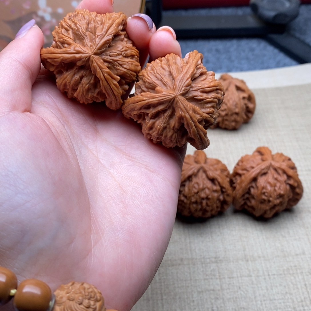 ꧁****白狮子111111111