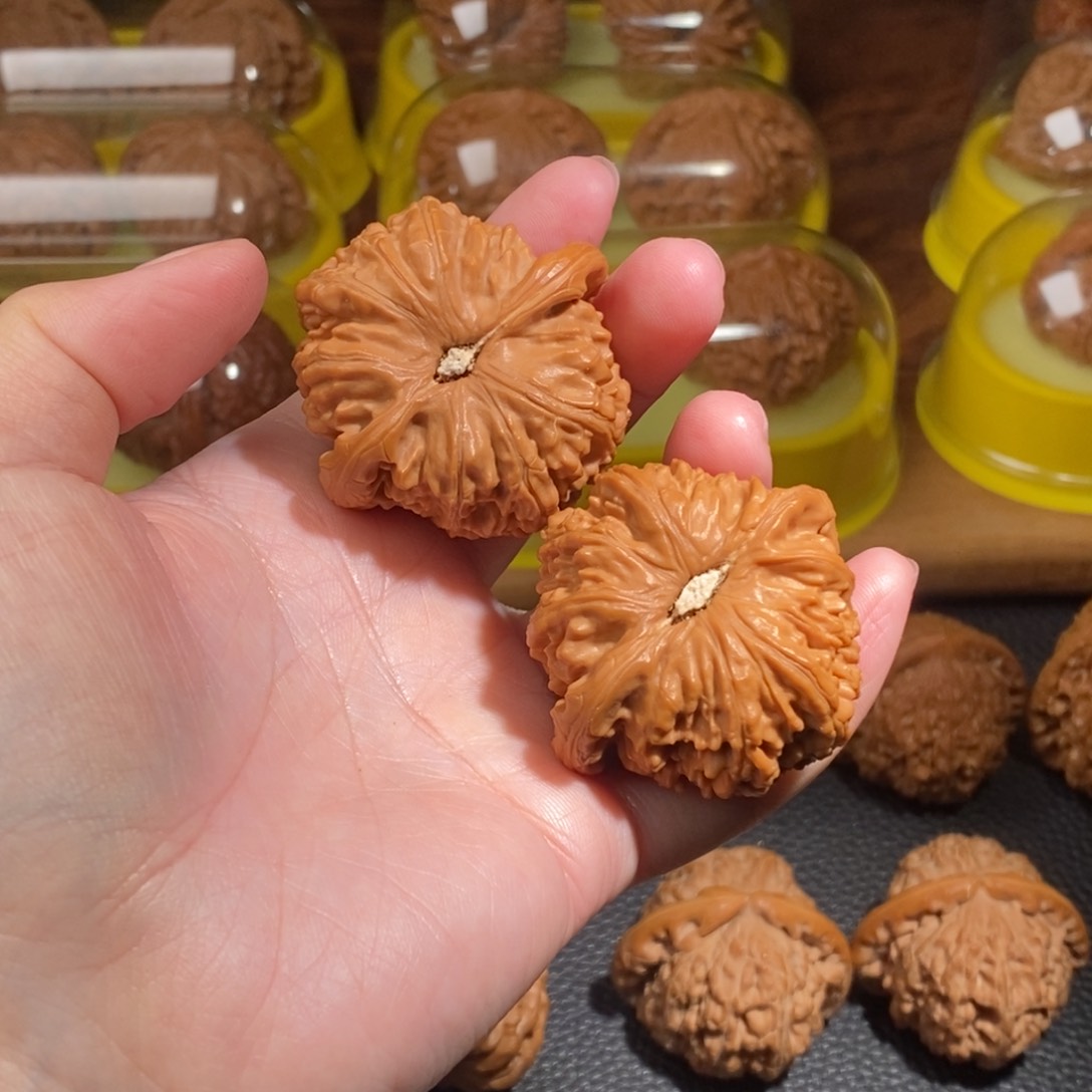 文玩核桃把件元43白狮子