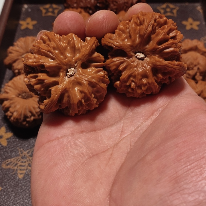 吊坠文玩核桃干***友我们的生活方式是什么