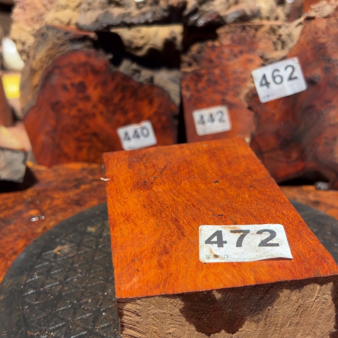 大果紫檀（缅甸花梨）