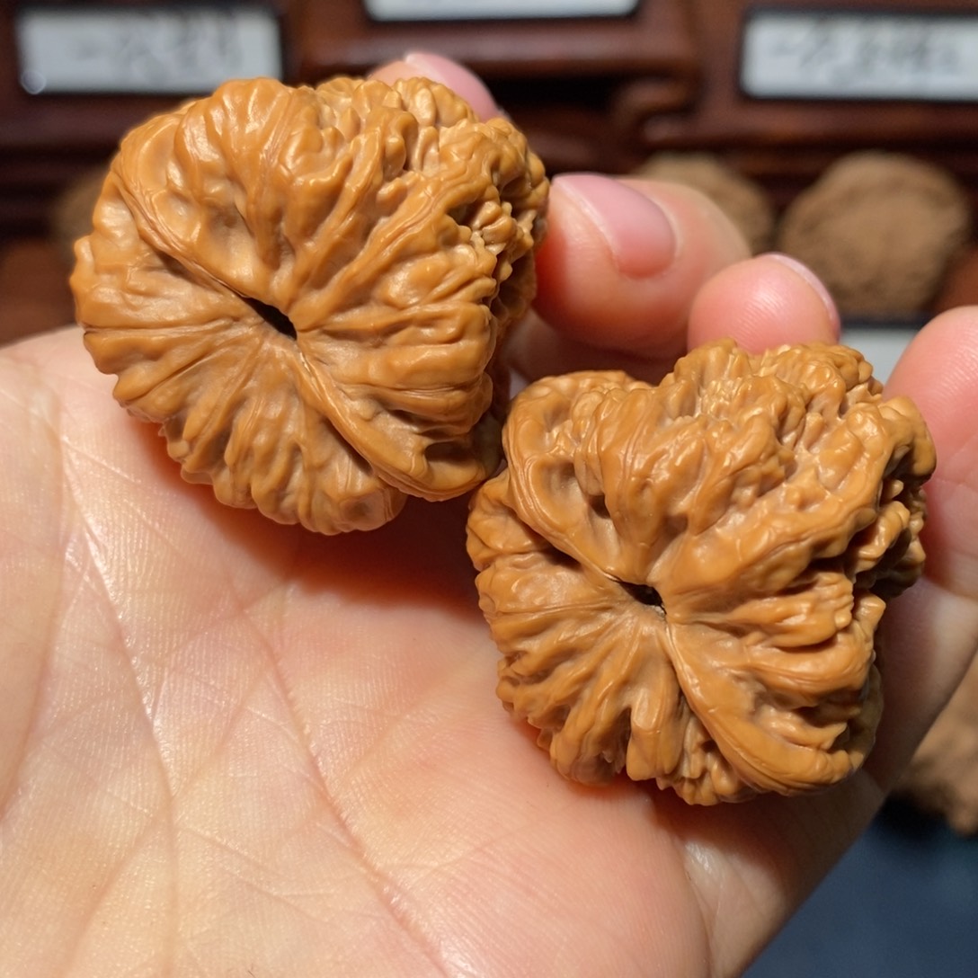 文玩核桃把件金蟾王全品36