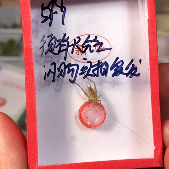 爱***然蟋蟀3333333333333333