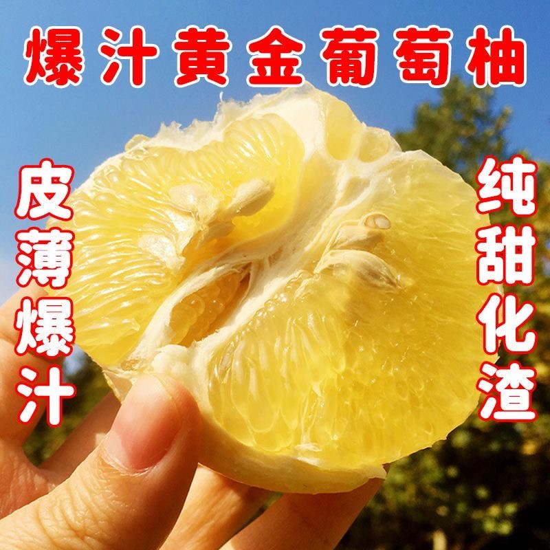 福建漳州甜柚子新鲜水果当季孕妇水果葡萄柚皮薄多汁现摘现发爆汁